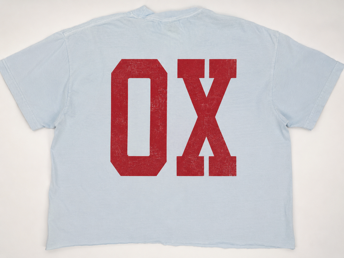 Meet Me in Oxford tee- Chambray