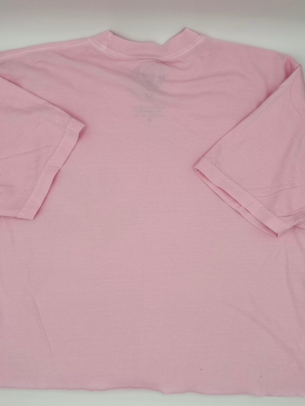 Les Rebels  tee- Blossom